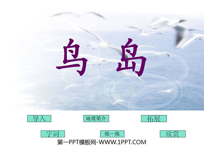 《鸟岛》PPT课件5