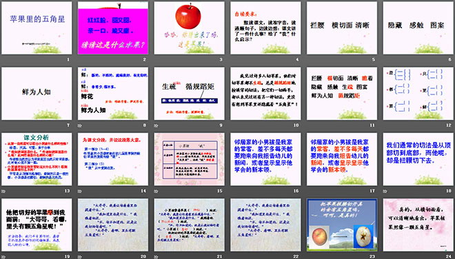 《苹果里的五角星》PPT课件4