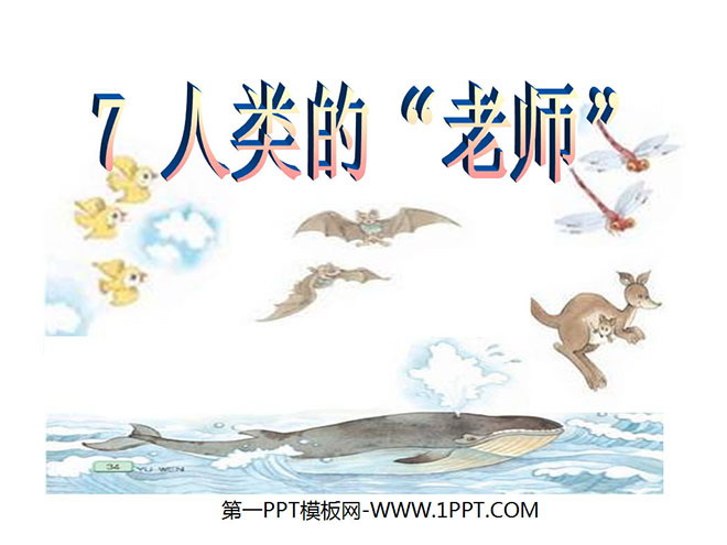 《人类的老师》PPT课件7