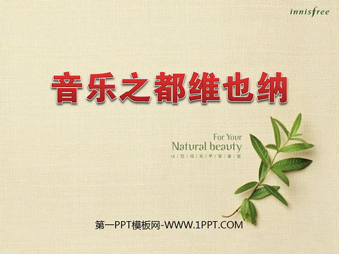 《音乐之都维也纳》PPT课件4
