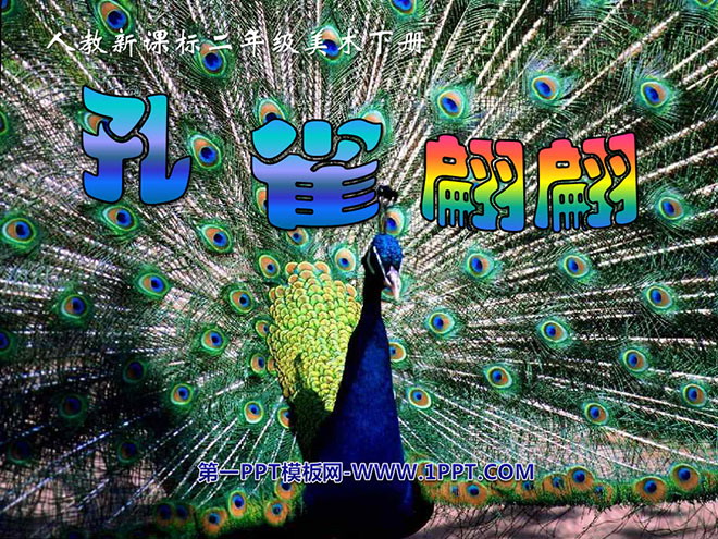 《孔雀翩翩》PPT课件3