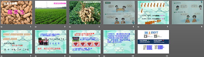 《数花生》PPT课件3