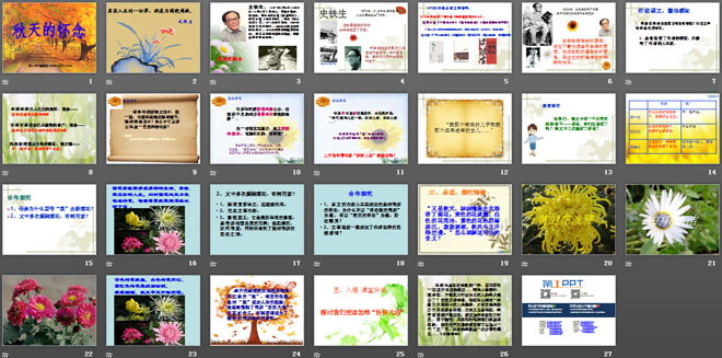 《秋天的怀念》PPT课件4