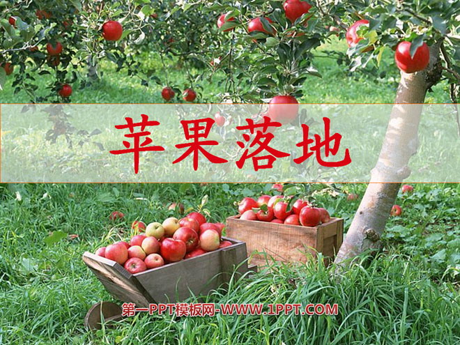 《苹果落地》PPT课件2