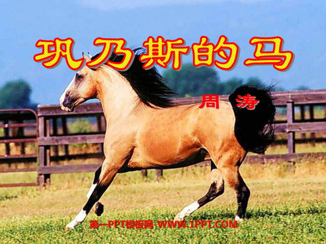 《巩乃斯的马》PPT课件4