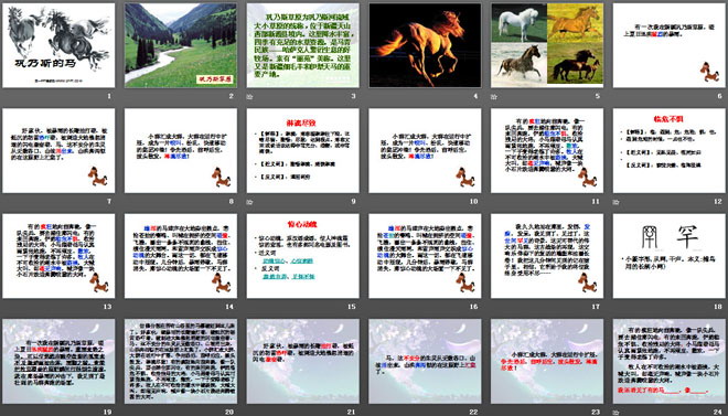 《巩乃斯的马》PPT课件5