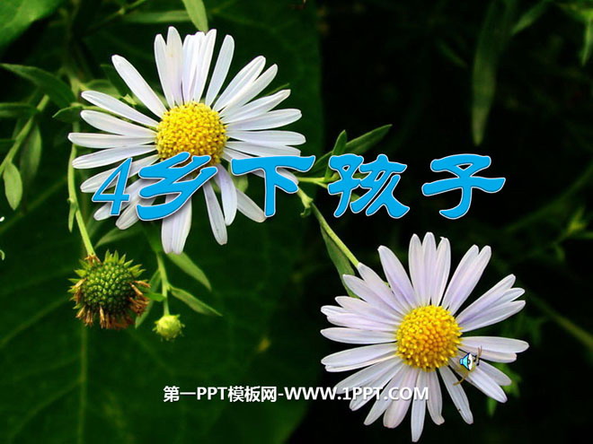 《乡下孩子》PPT课件4