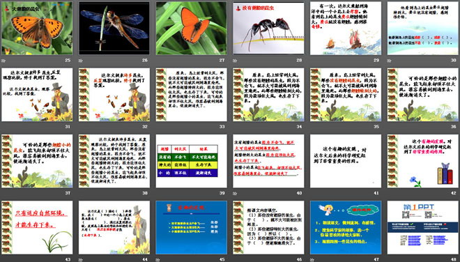 《有趣的发现》PPT课件4