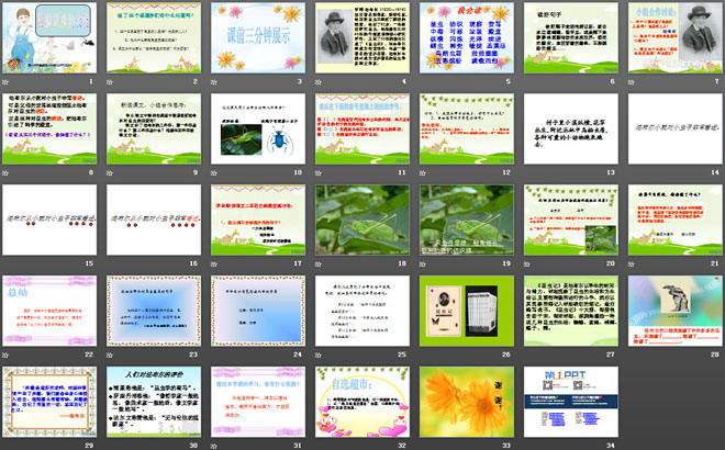 《装满昆虫的衣袋》PPT课件3