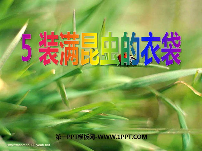 《装满昆虫的衣袋》PPT课件5