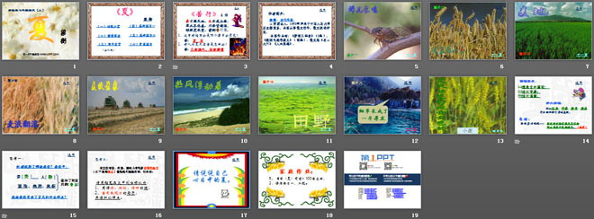 《夏》PPT课件5