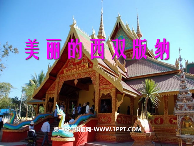 《美丽的西双版纳》PPT课件3