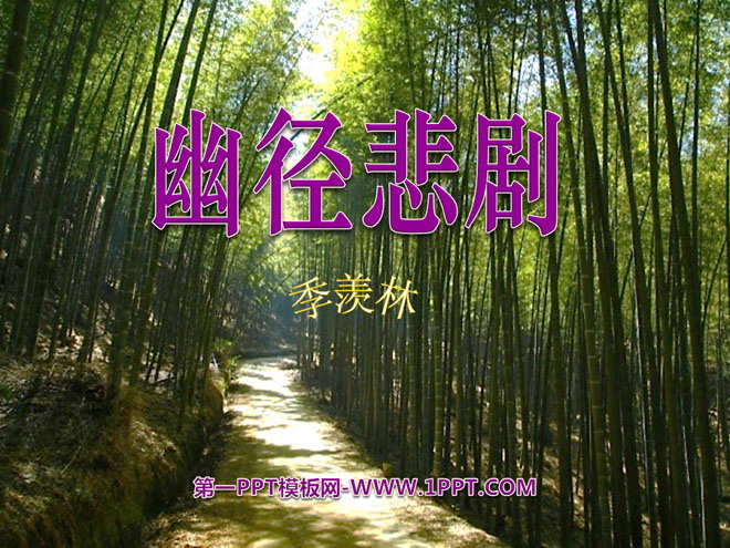 《幽径悲剧》PPT课件