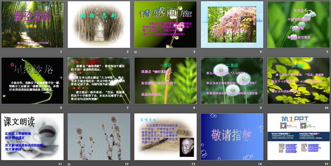 《幽径悲剧》PPT课件