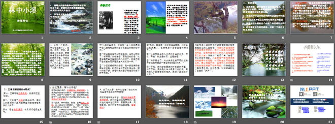 《林中小溪》PPT课件3