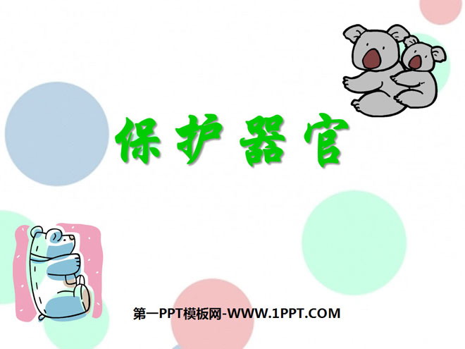 《保护器官》PPT课件2