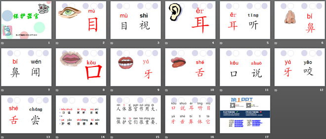 《保护器官》PPT课件2