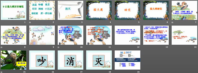 《让猫头鹰好好睡觉》PPT课件
