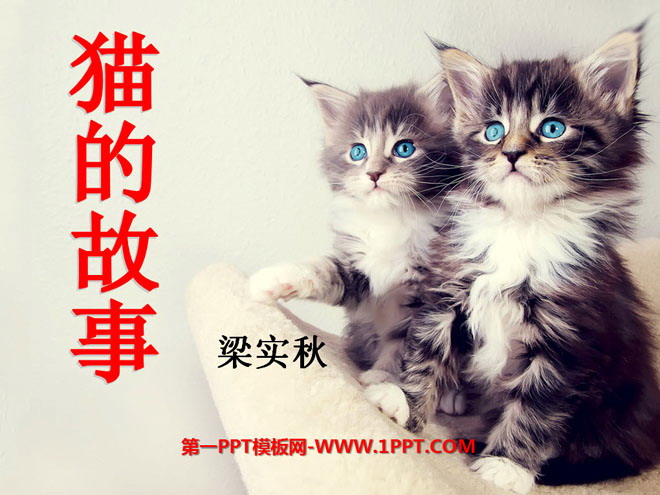 《猫的故事》PPT课件2