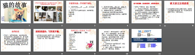 《猫的故事》PPT课件3