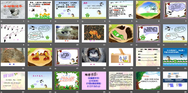 《小动物过冬》PPT课件4