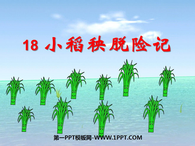 《小稻秧脱险记》PPT课件7