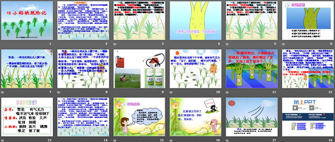 《小稻秧脱险记》PPT课件7