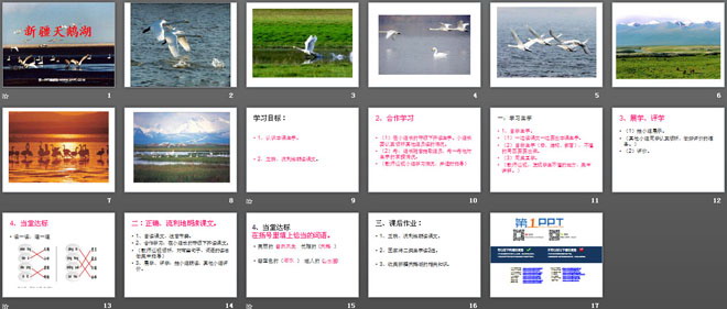 《新疆天鹅湖》PPT课件4