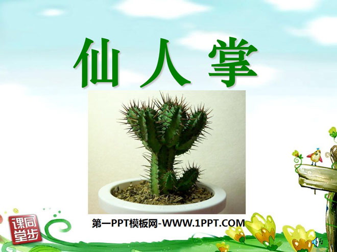 《仙人掌》PPT课件5