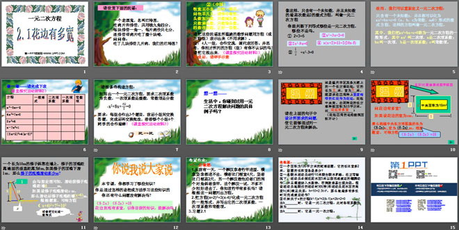 《花边有多宽》一元二次方程PPT课件2