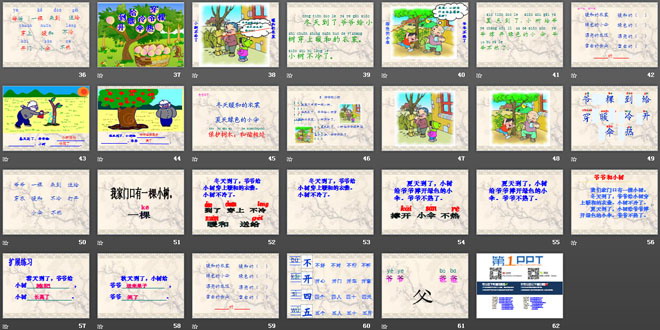 《爷爷和小树》PPT课件2