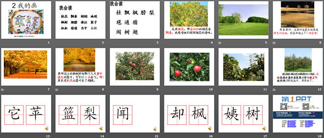 《我的画》PPT课件4