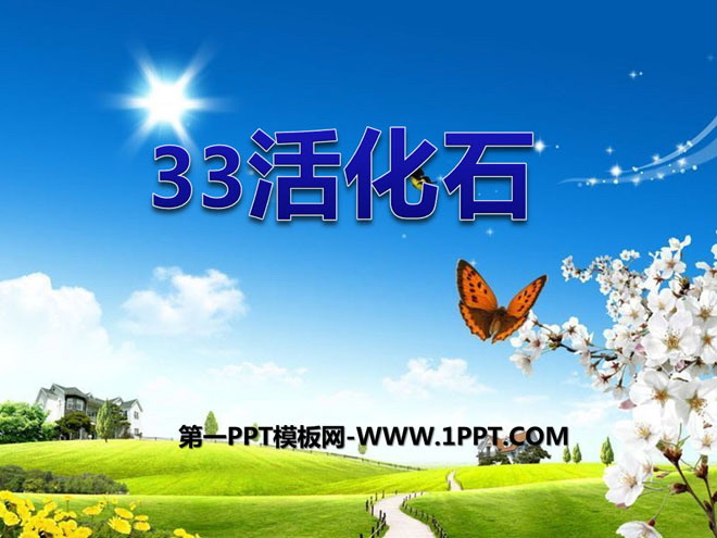 《活化石》PPT课件3