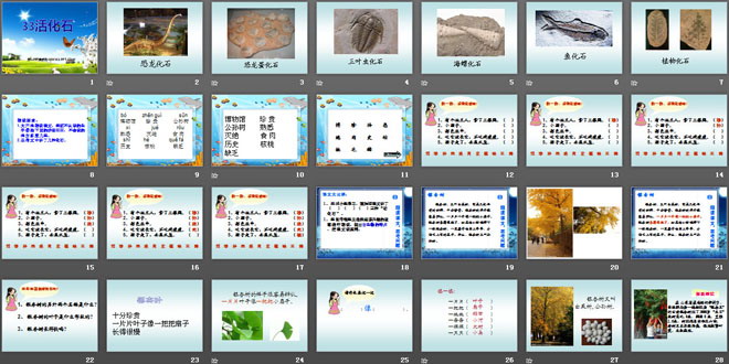 《活化石》PPT课件3
