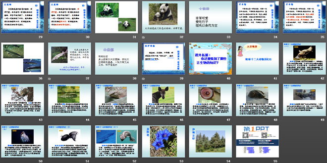 《活化石》PPT课件3