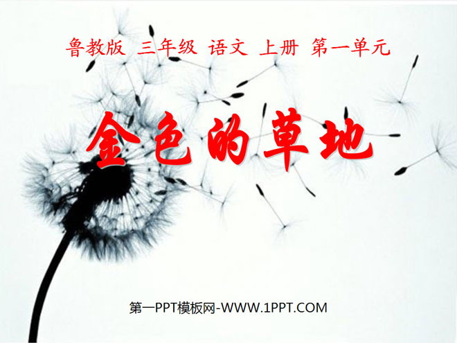 《金色的草地》PPT课件7