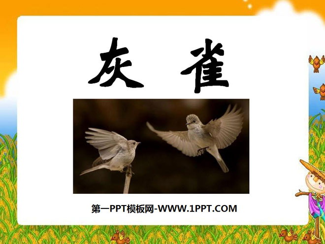 《灰雀》PPT课件