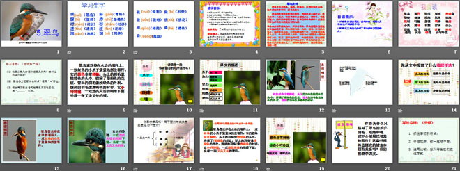 《翠鸟》PPT课件3