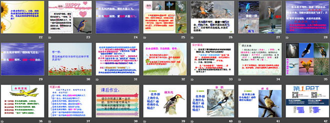 《翠鸟》PPT课件3