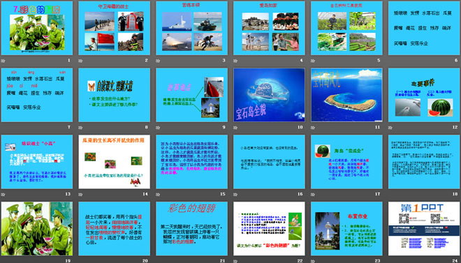 《彩色的翅膀》PPT课件5