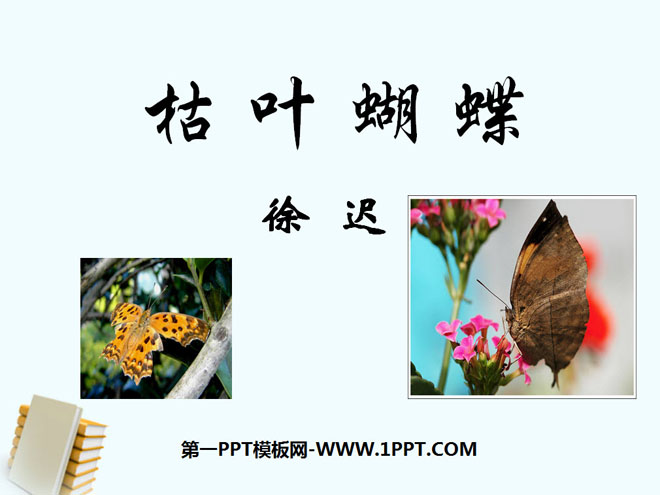 《枯叶蝴蝶》PPT课件