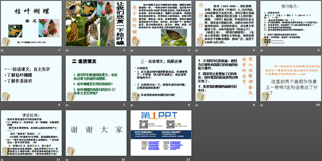 《枯叶蝴蝶》PPT课件