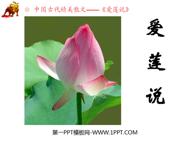 《爱莲说》PPT课件5