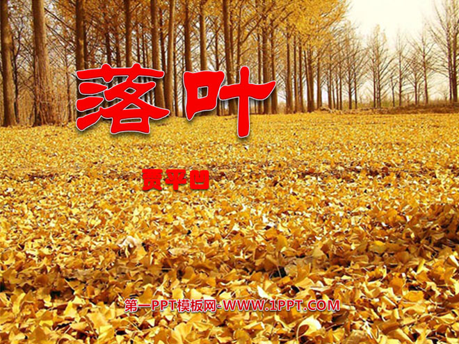 《落叶》PPT课件