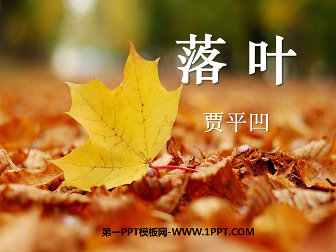 《落叶》PPT课件2