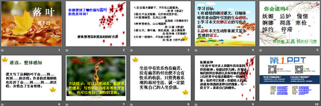 《落叶》PPT课件2
