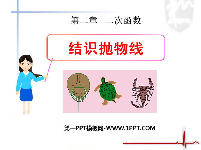 《结识抛物线》二次函数PPT课件4