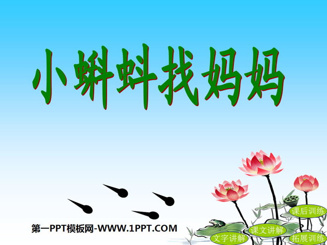 《小蝌蚪找妈妈》PPT课件6