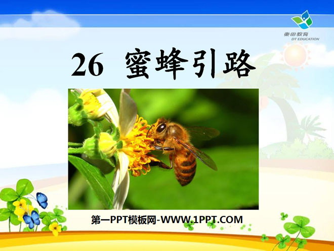 《蜜蜂引路》PPT课件8