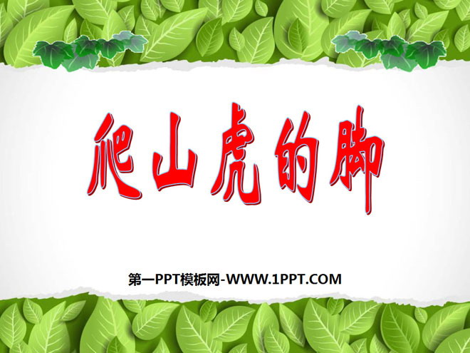 《爬山虎的脚》PPT课件2